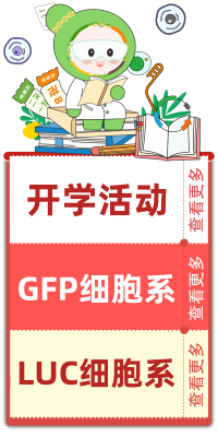 ��ѧ���Żݣ������������˶������������������Żݶ��