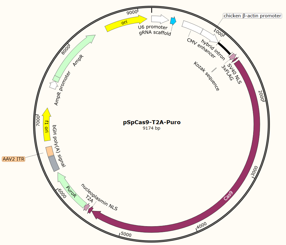 ÍêÃÀÕæÈË¡¤WM(ÖйúÓÎ)¹Ù·½ÍøÕ¾